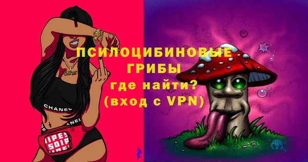 соль ск Алексеевка