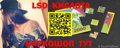 стаф Краснодар