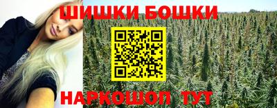 стаф Краснодар