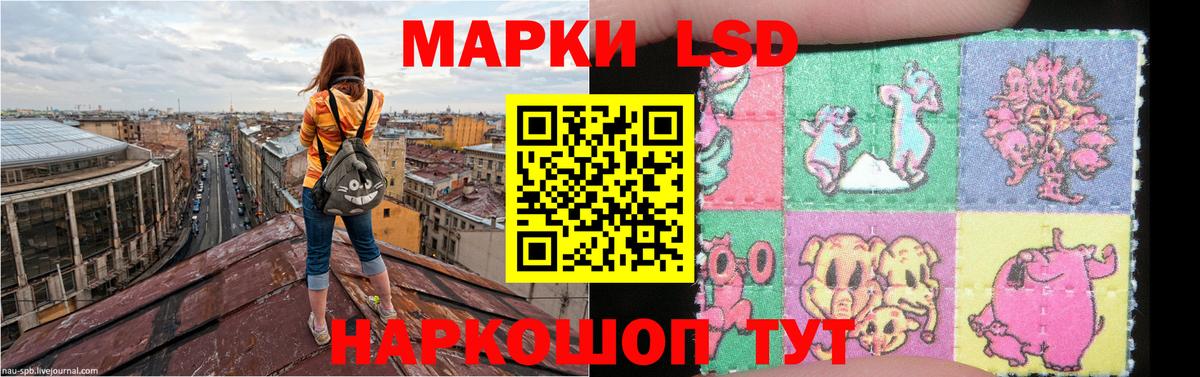 Морозовск  blacksprut   Вход с VPN  ЛСД экстази ecstasy 
