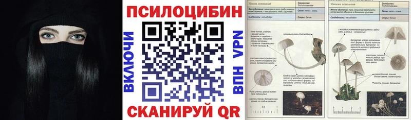 Псилоцибиновые грибы Psilocybine cubensis  Морозовск 
